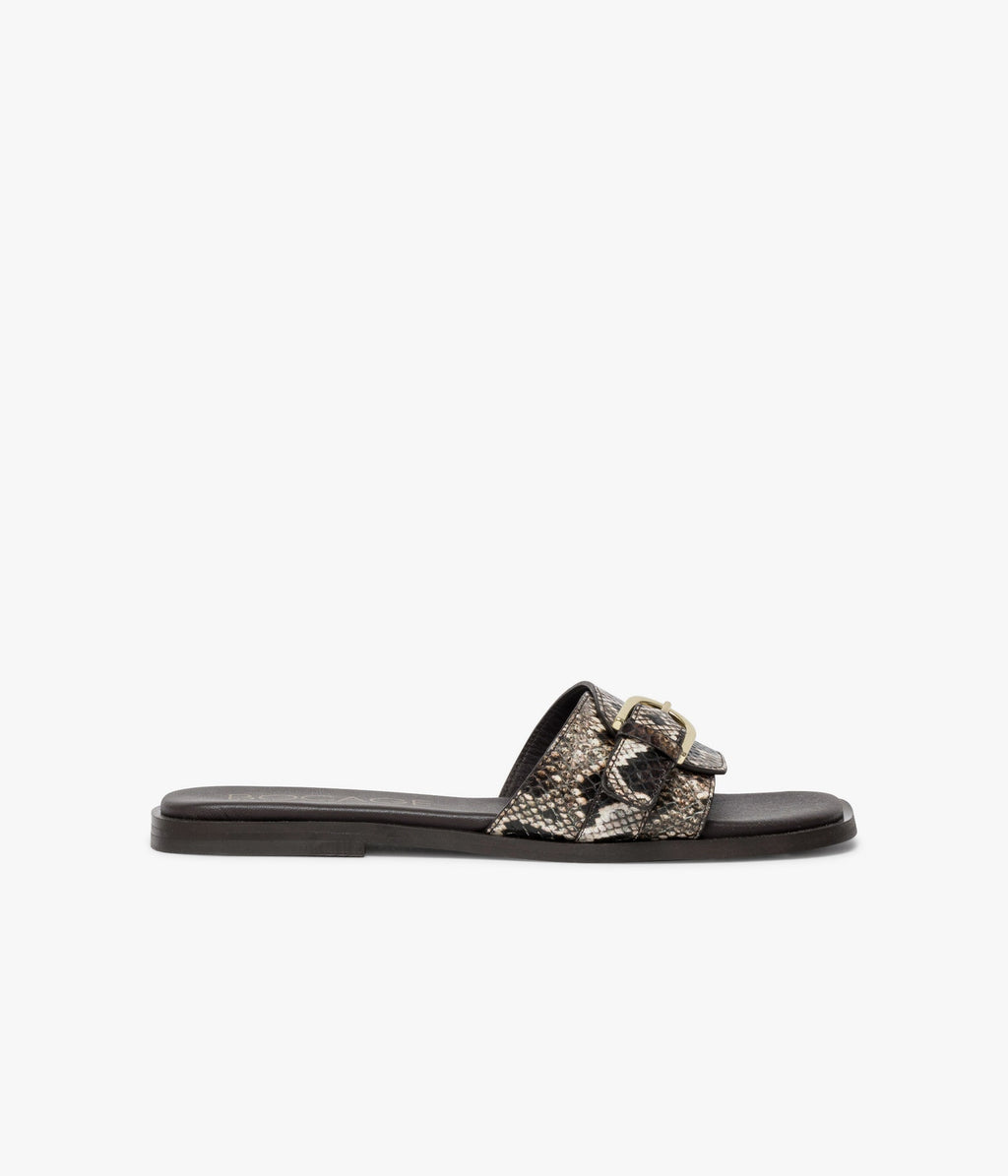 Mule Williana python