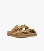 Mule Yelena camel